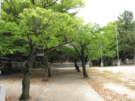 画像40